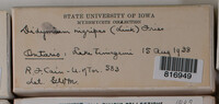 Image Associated With the Occurence